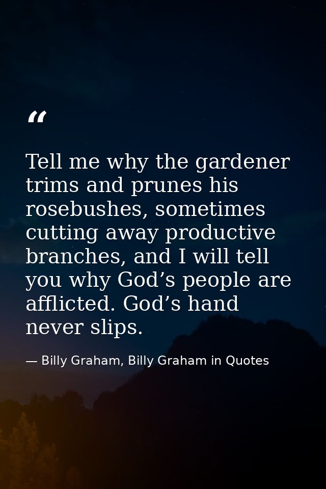 Tell me why the gardener trims and prunes his rosebushes, sometimes cutting away productive branches, and I will tell yo — Billy Graham, Billy Graham in Quotes