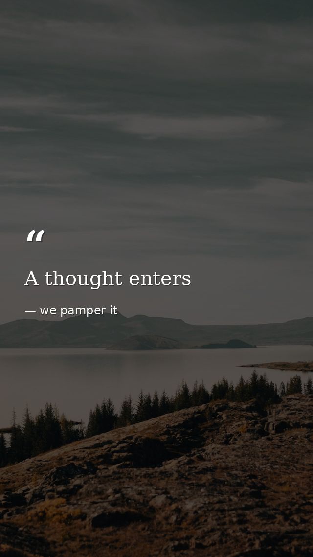 A thought enters — we pamper it
