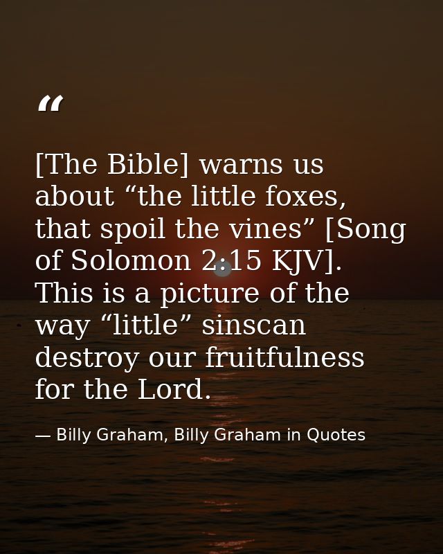 [The Bible] warns us about “the little foxes, that spoil the vines” [Song of Solomon 2:15 KJV]. This is a picture of the — Billy Graham, Billy Graham in Quotes