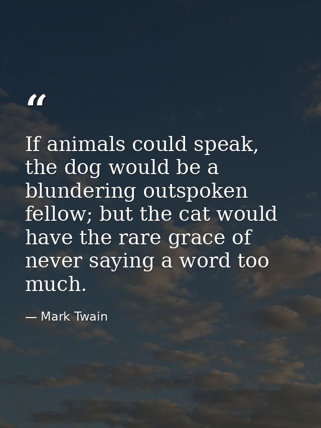 If animals could speak, the dog would be a blundering outspoken fellow; but the cat would have the rare grace of never s — Mark Twain
