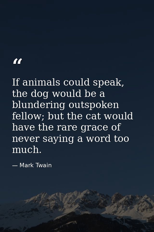 If animals could speak, the dog would be a blundering outspoken fellow; but the cat would have the rare grace of never s — Mark Twain