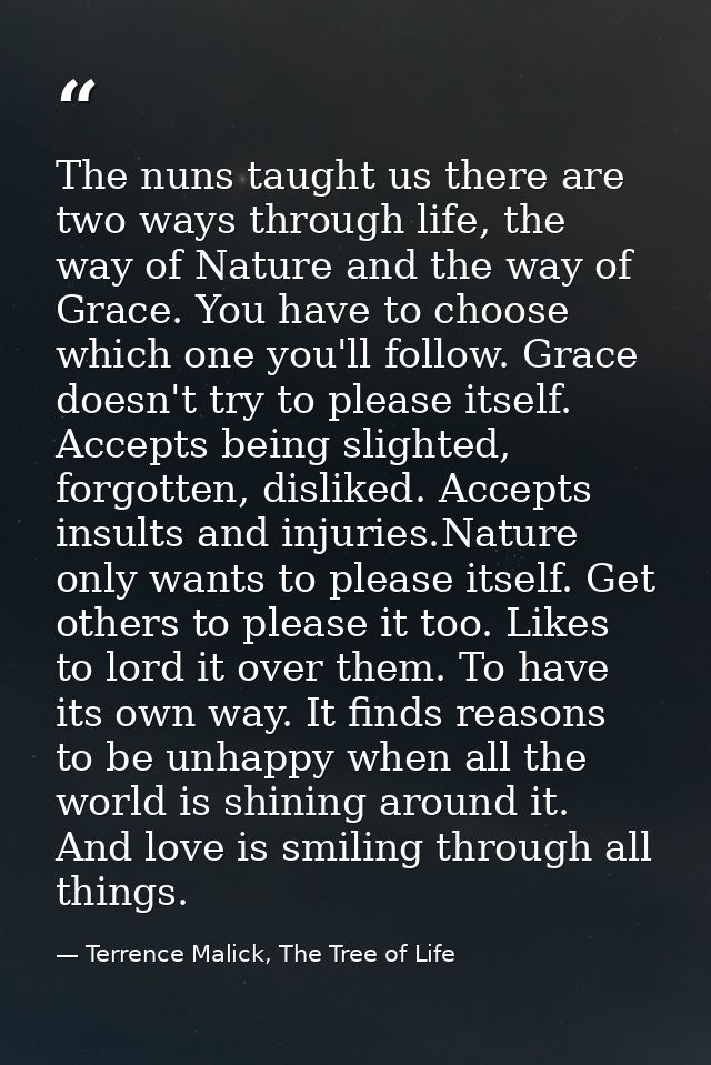 The nuns taught us there are two ways through life, the way of Nature and the way of Grace. You have to choose which one — Terrence Malick, The Tree of Life