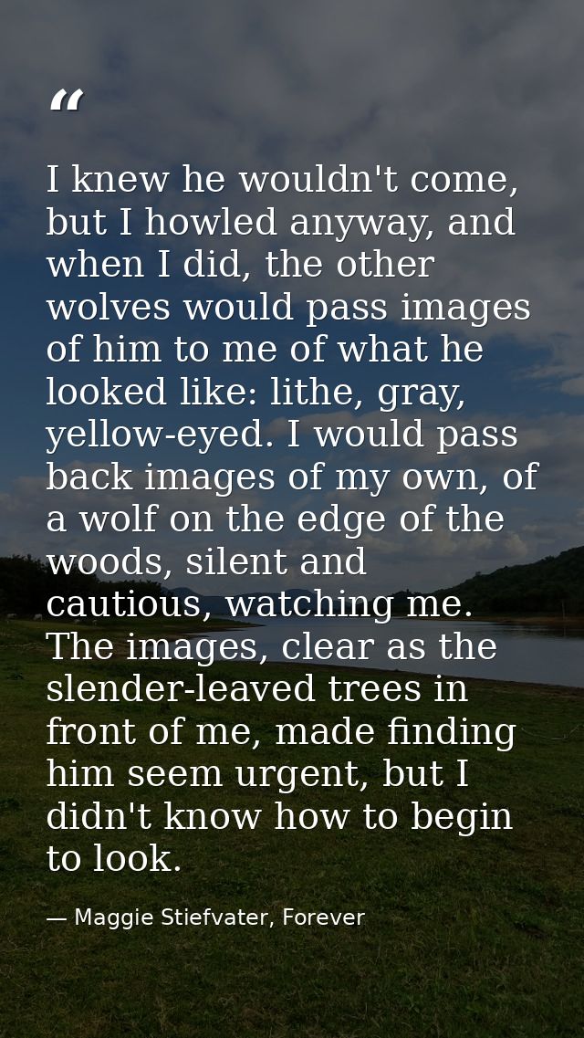 I knew he wouldn't come, but I howled anyway, and when I did, the other wolves would pass images of him to me of what he — Maggie Stiefvater, Forever