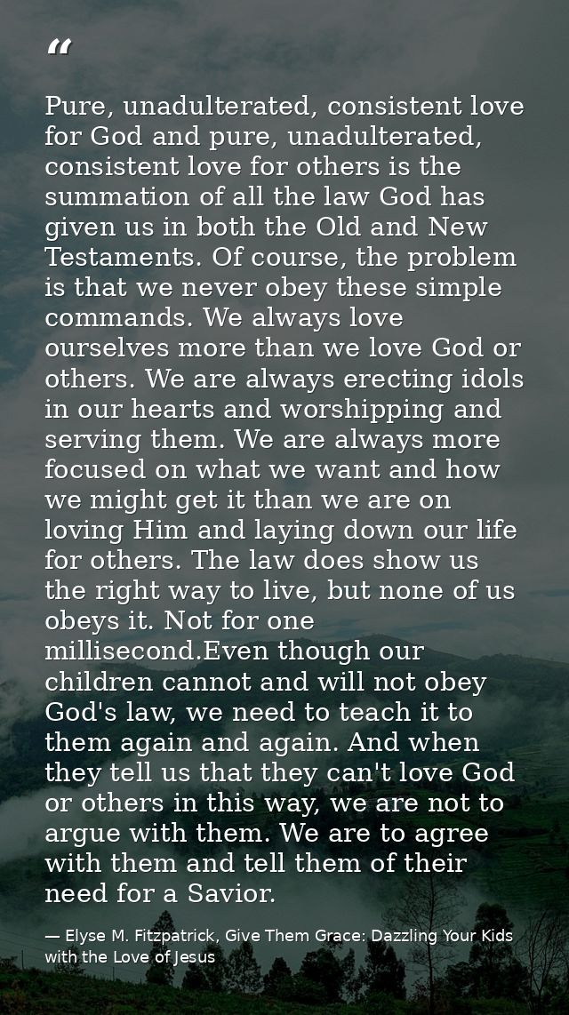 Pure, unadulterated, consistent love for God and pure, unadulterated, consistent love for others is the summation of all — Elyse M. Fitzpatrick, Give Them Grace: Dazzling Your Kids with the Love of Jesus