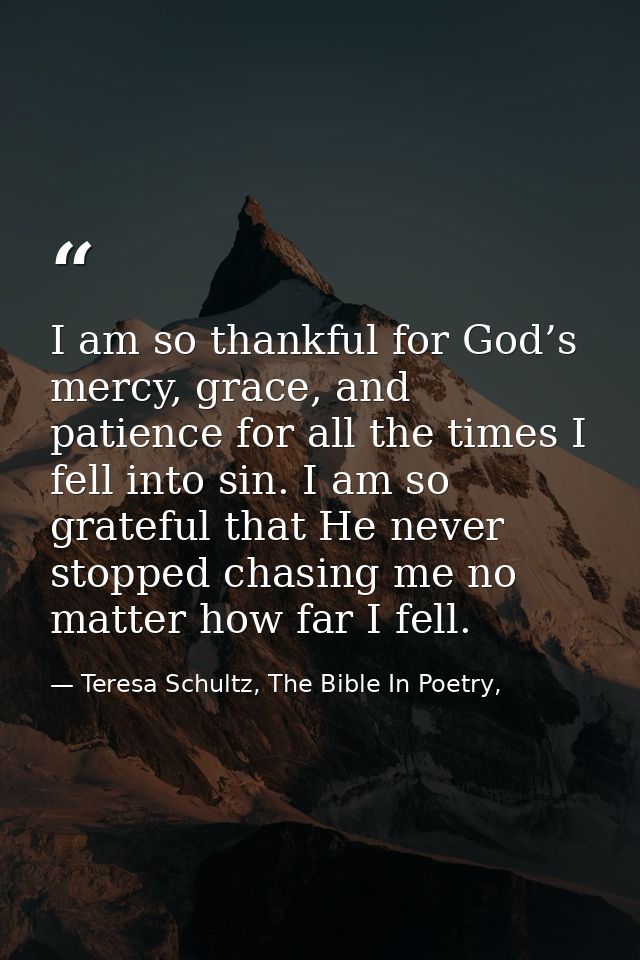 I am so thankful for God’s mercy, grace, and patience for all the times I fell into sin. I am so grateful that He never  — Teresa Schultz, The Bible In Poetry,