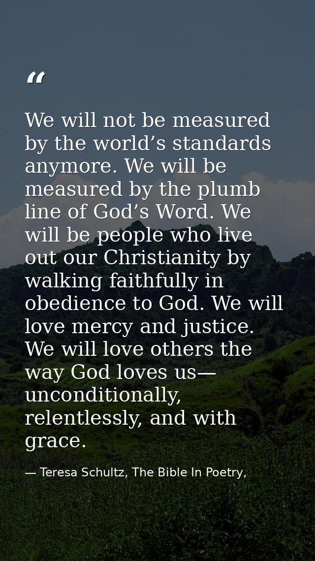 We will not be measured by the world’s standards anymore. We will be measured by the plumb line of God’s Word. We will b — Teresa Schultz, The Bible In Poetry,