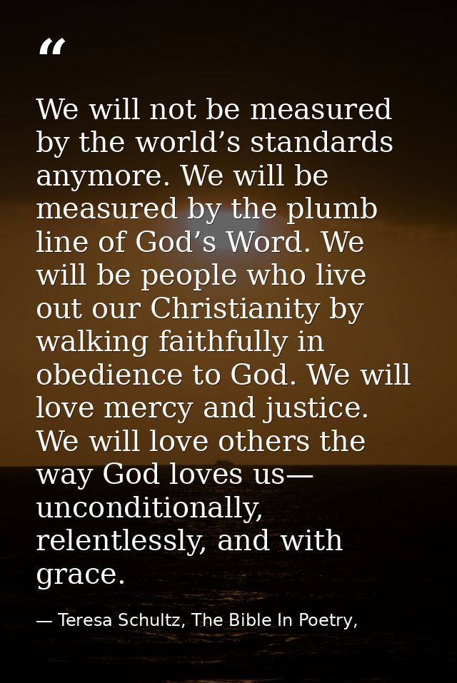We will not be measured by the world’s standards anymore. We will be measured by the plumb line of God’s Word. We will b — Teresa Schultz, The Bible In Poetry,