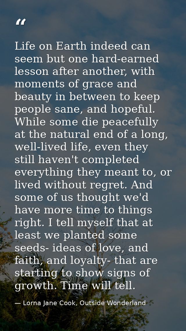 Life on Earth indeed can seem but one hard-earned lesson after another, with moments of grace and beauty in between to k — Lorna Jane Cook, Outside Wonderland
