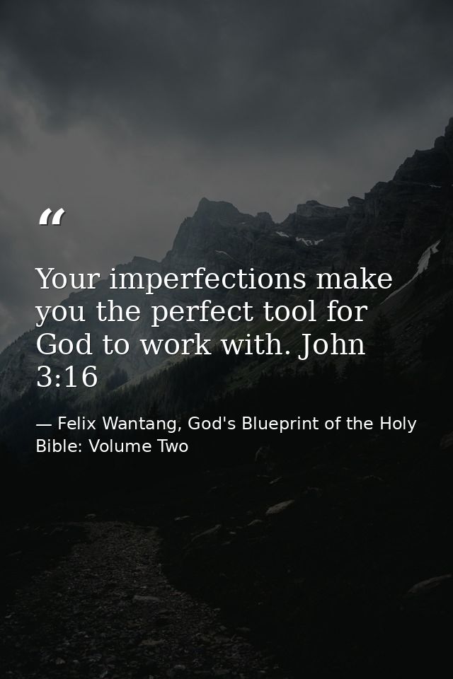 Your imperfections make you the perfect tool for God to work with. John 3:16 — Felix Wantang, God's Blueprint of the Holy Bible: Volume Two