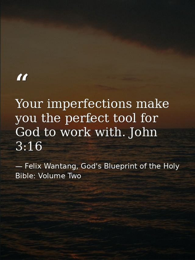 Your imperfections make you the perfect tool for God to work with. John 3:16 — Felix Wantang, God's Blueprint of the Holy Bible: Volume Two