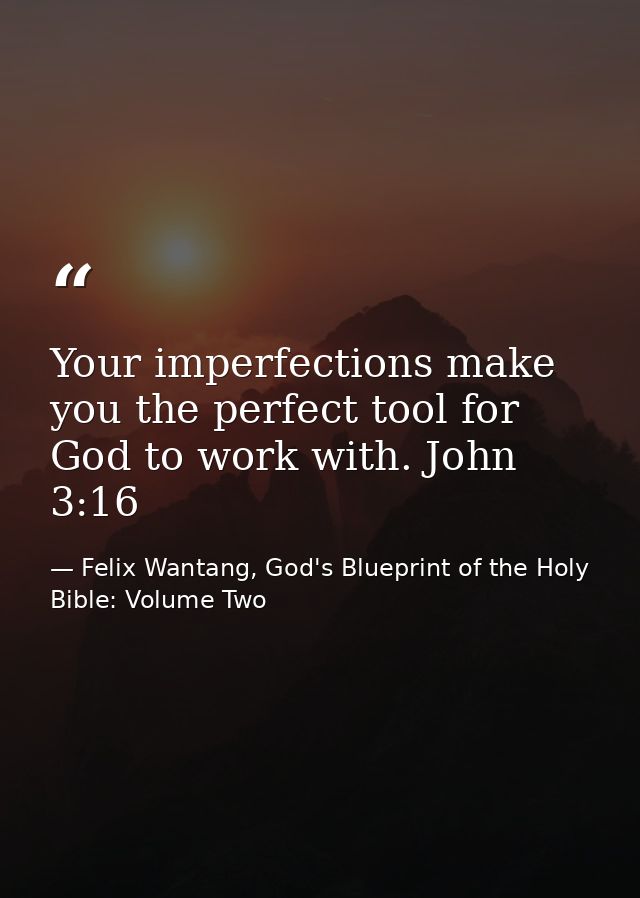 Your imperfections make you the perfect tool for God to work with. John 3:16 — Felix Wantang, God's Blueprint of the Holy Bible: Volume Two
