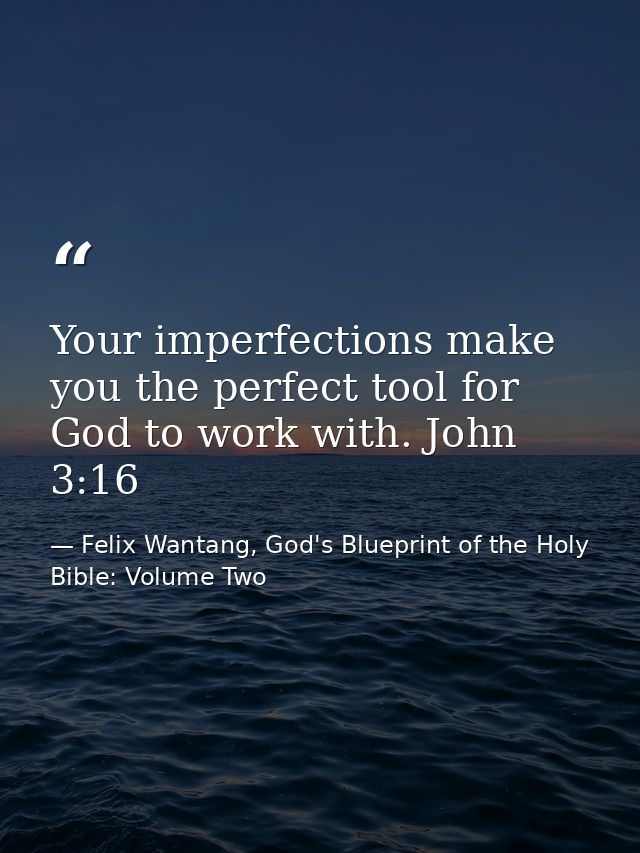 Your imperfections make you the perfect tool for God to work with. John 3:16 — Felix Wantang, God's Blueprint of the Holy Bible: Volume Two