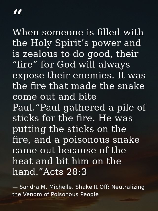 When someone is filled with the Holy Spirit’s power and is zealous to do good, their “fire” for God will always expose t — Sandra M. Michelle, Shake It Off: Neutralizing the Venom of Poisonous People