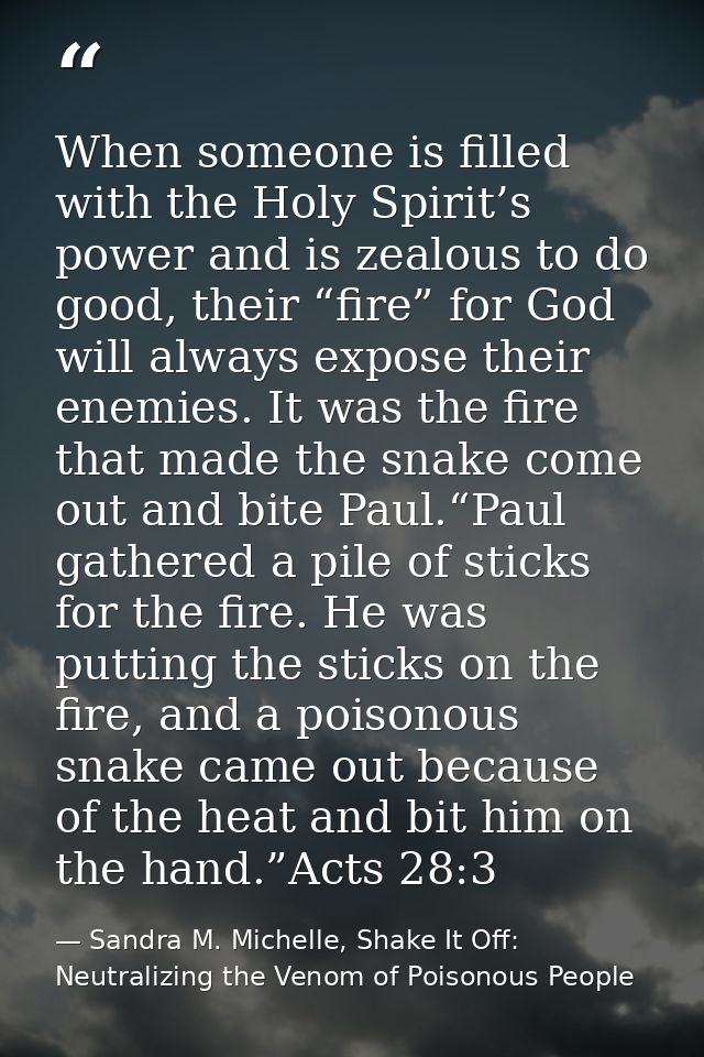When someone is filled with the Holy Spirit’s power and is zealous to do good, their “fire” for God will always expose t — Sandra M. Michelle, Shake It Off: Neutralizing the Venom of Poisonous People