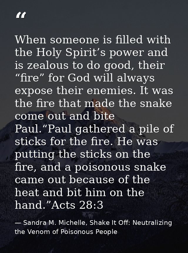 When someone is filled with the Holy Spirit’s power and is zealous to do good, their “fire” for God will always expose t — Sandra M. Michelle, Shake It Off: Neutralizing the Venom of Poisonous People