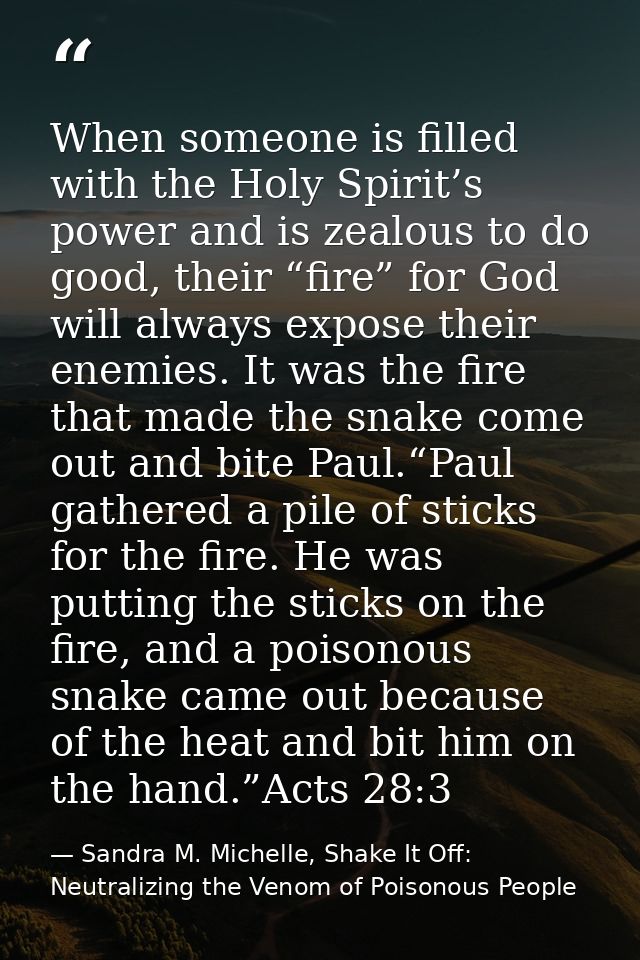 When someone is filled with the Holy Spirit’s power and is zealous to do good, their “fire” for God will always expose t — Sandra M. Michelle, Shake It Off: Neutralizing the Venom of Poisonous People