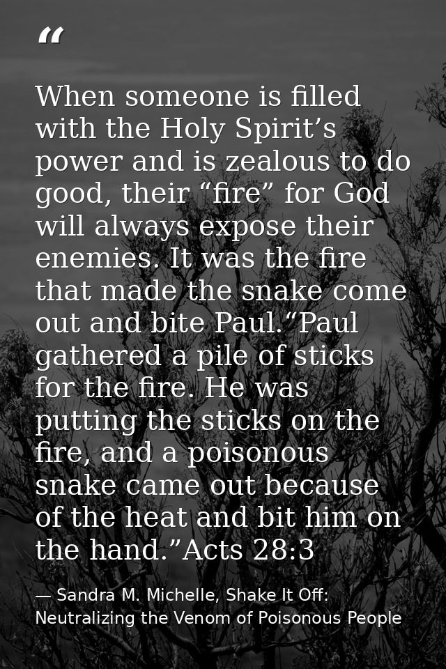 When someone is filled with the Holy Spirit’s power and is zealous to do good, their “fire” for God will always expose t — Sandra M. Michelle, Shake It Off: Neutralizing the Venom of Poisonous People