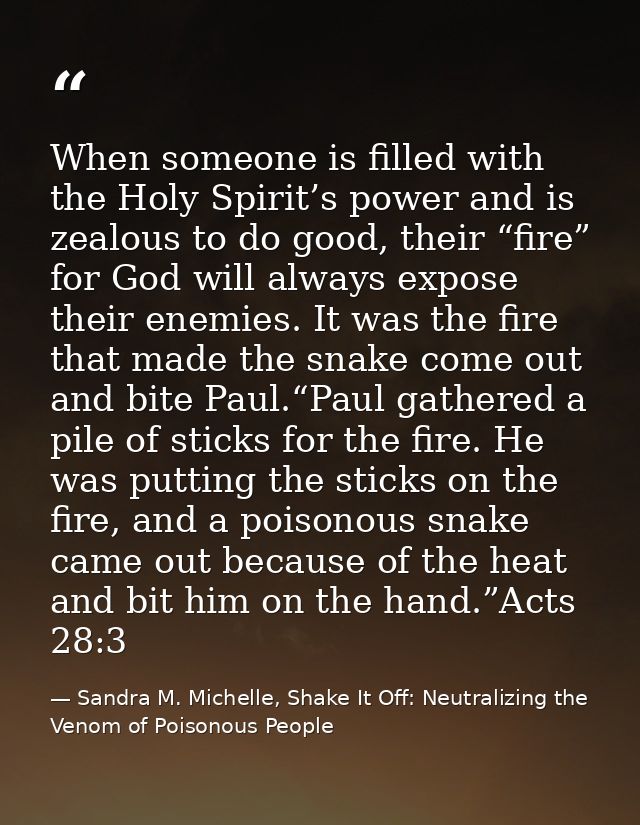 When someone is filled with the Holy Spirit’s power and is zealous to do good, their “fire” for God will always expose t — Sandra M. Michelle, Shake It Off: Neutralizing the Venom of Poisonous People