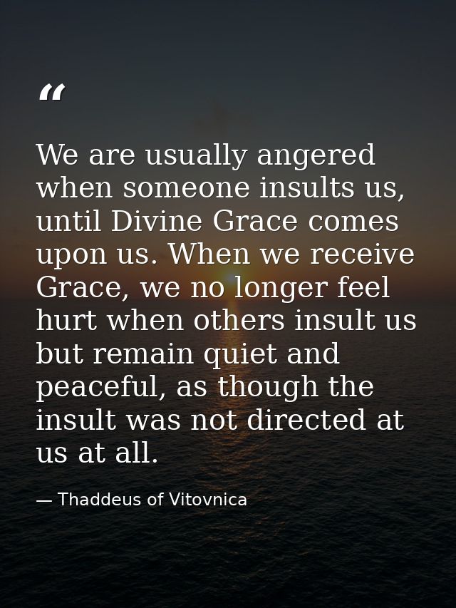 We are usually angered when someone insults us, until Divine Grace comes upon us. When we receive Grace, we no longer fe — Thaddeus of Vitovnica