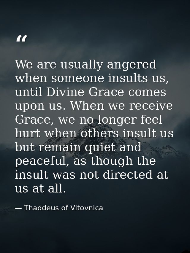We are usually angered when someone insults us, until Divine Grace comes upon us. When we receive Grace, we no longer fe — Thaddeus of Vitovnica