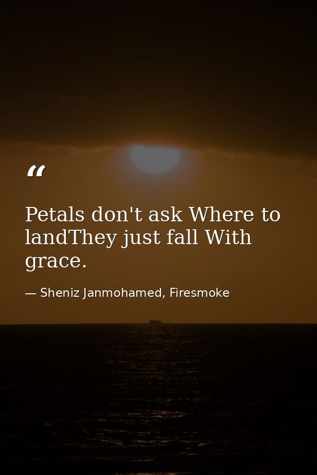 Petals don't ask Where to landThey just fall With grace. — Sheniz Janmohamed, Firesmoke
