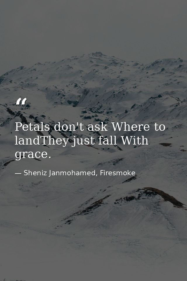 Petals don't ask Where to landThey just fall With grace. — Sheniz Janmohamed, Firesmoke