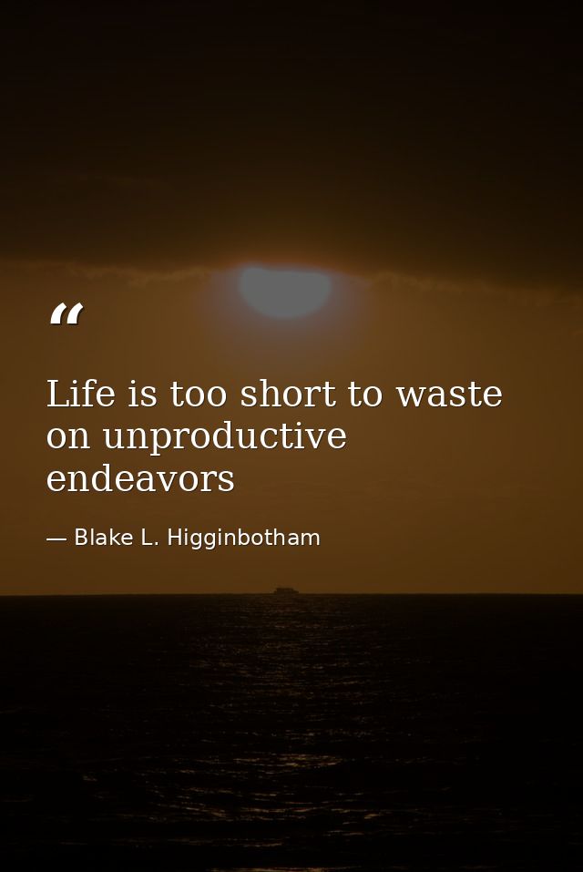 Life is too short to waste on unproductive endeavors — Blake L. Higginbotham