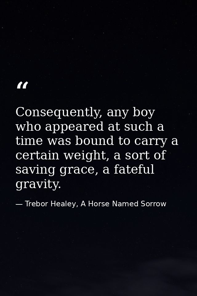 Consequently, any boy who appeared at such a time was bound to carry a certain weight, a sort of saving grace, a fateful — Trebor Healey, A Horse Named Sorrow