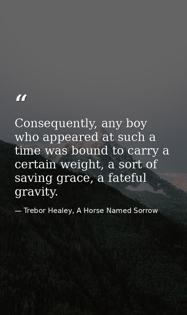 Consequently, any boy who appeared at such a time was bound to carry a certain weight, a sort of saving grace, a fateful — Trebor Healey, A Horse Named Sorrow