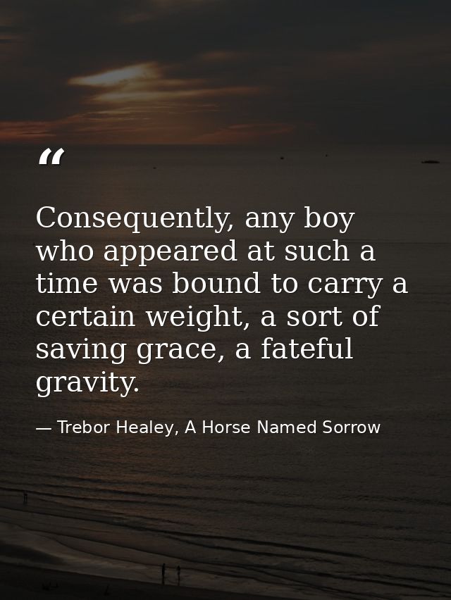 Consequently, any boy who appeared at such a time was bound to carry a certain weight, a sort of saving grace, a fateful — Trebor Healey, A Horse Named Sorrow