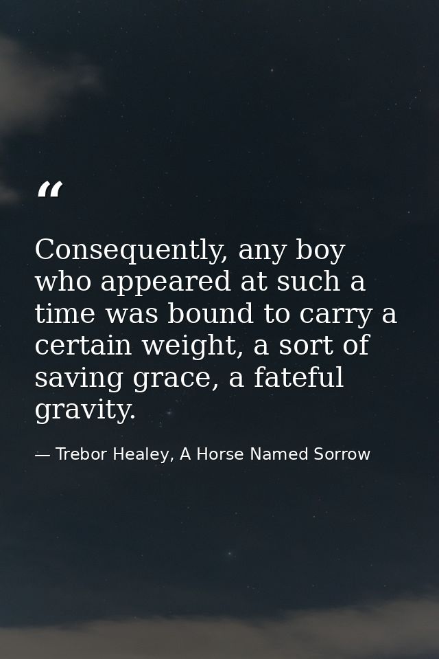 Consequently, any boy who appeared at such a time was bound to carry a certain weight, a sort of saving grace, a fateful — Trebor Healey, A Horse Named Sorrow