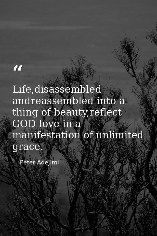Life,disassembled andreassembled into a thing of beauty,reflect GOD love in a manifestation of unlimited grace. — Peter Adejimi