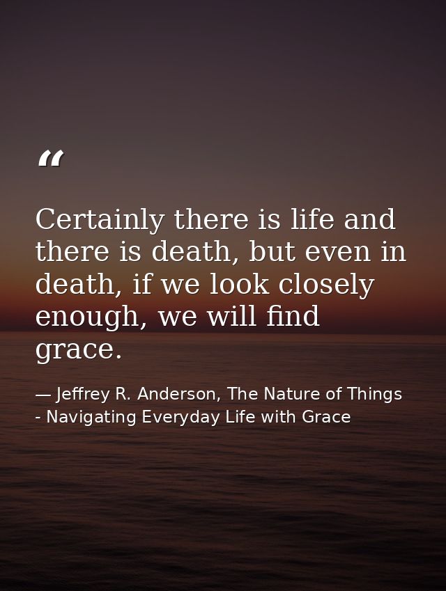 Certainly there is life and there is death, but even in death, if we look closely enough, we will find grace. — Jeffrey R. Anderson, The Nature of Things - Navigating Everyday Life with Grace