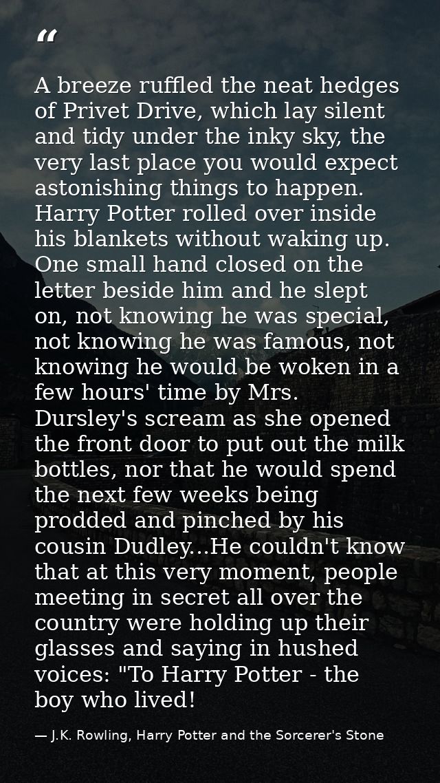 A breeze ruffled the neat hedges of Privet Drive, which lay silent and tidy under the inky sky, the very last place you  — J.K. Rowling, Harry Potter and the Sorcerer's Stone