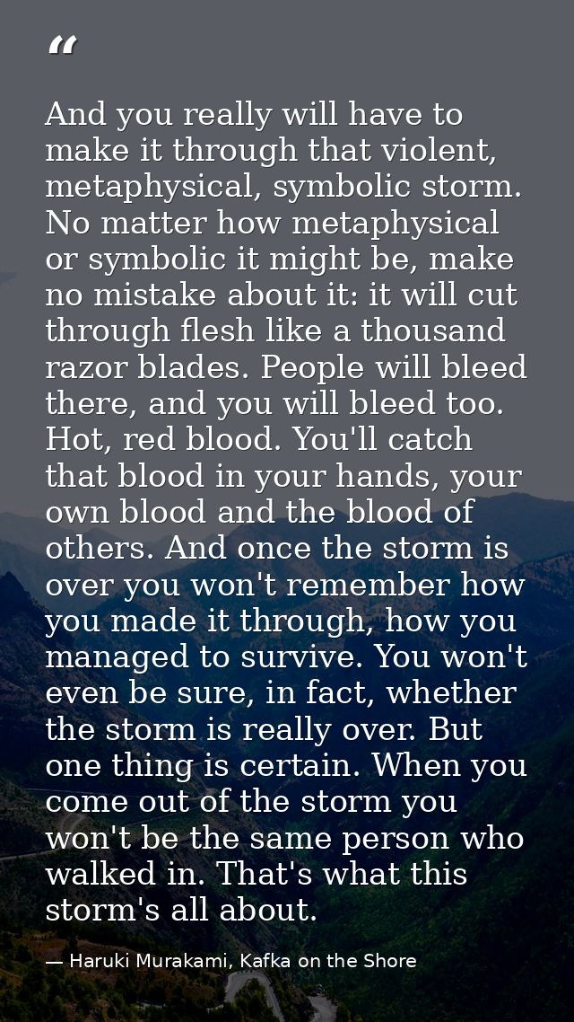 And you really will have to make it through that violent, metaphysical, symbolic storm. No matter how metaphysical or sy — Haruki Murakami, Kafka on the Shore