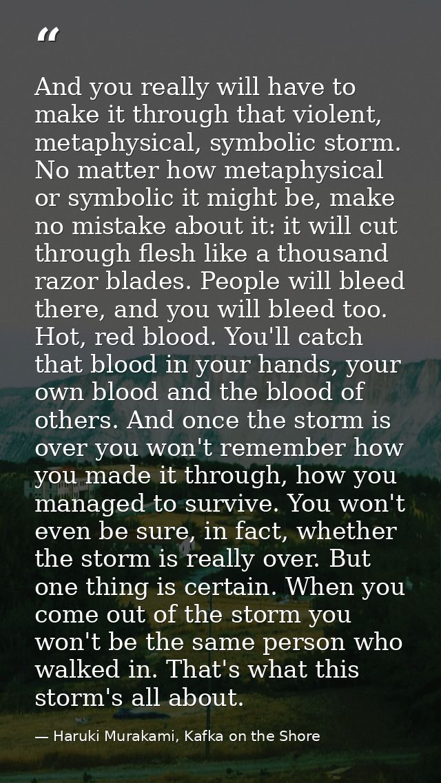 And you really will have to make it through that violent, metaphysical, symbolic storm. No matter how metaphysical or sy — Haruki Murakami, Kafka on the Shore