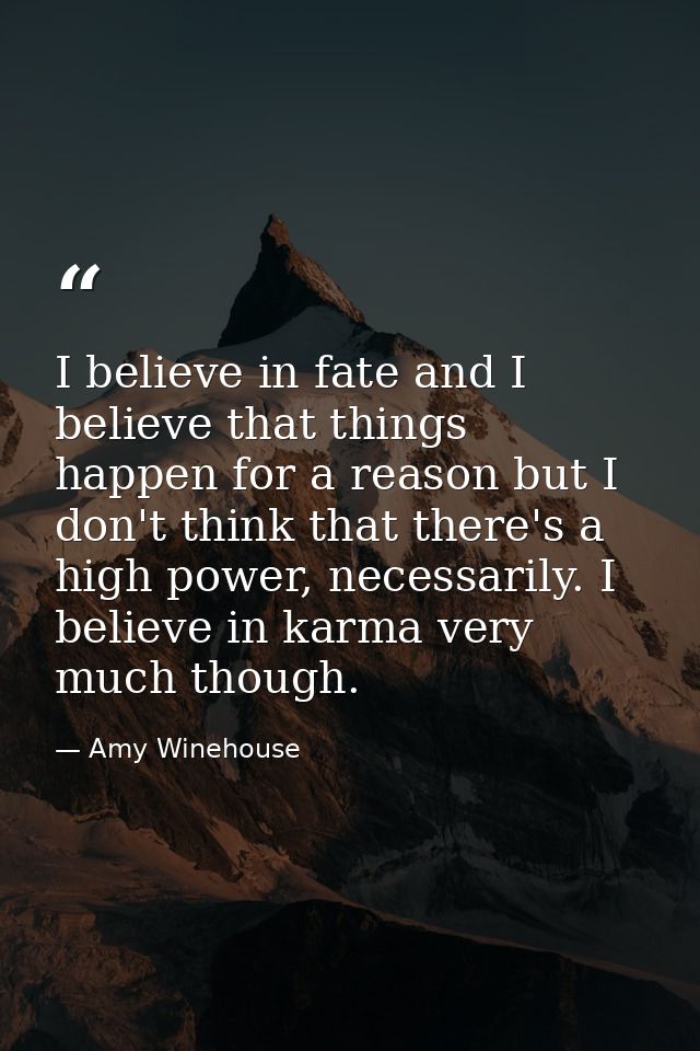 I believe in fate and I believe that things happen for a reason but I don't think that there's a high power, necessarily — Amy Winehouse