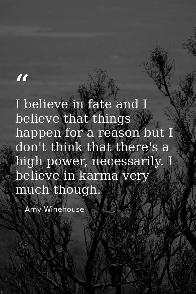 I believe in fate and I believe that things happen for a reason but I don't think that there's a high power, necessarily — Amy Winehouse