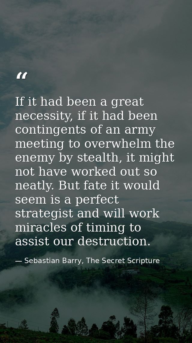 If it had been a great necessity, if it had been contingents of an army meeting to overwhelm the enemy by stealth, it mi — Sebastian Barry, The Secret Scripture