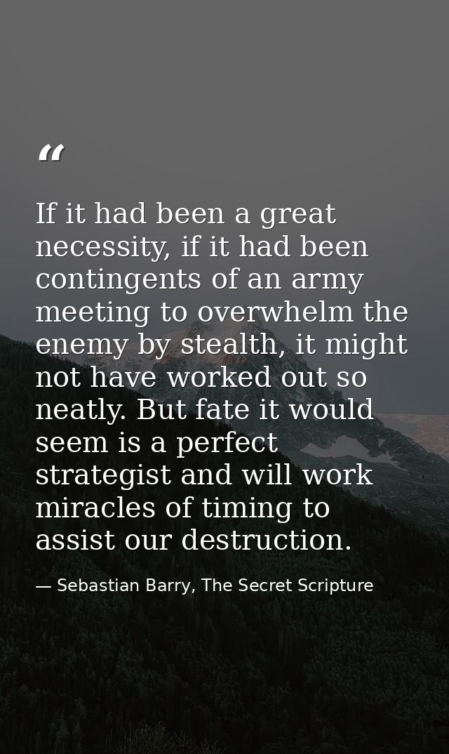 If it had been a great necessity, if it had been contingents of an army meeting to overwhelm the enemy by stealth, it mi — Sebastian Barry, The Secret Scripture