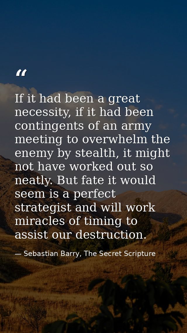 If it had been a great necessity, if it had been contingents of an army meeting to overwhelm the enemy by stealth, it mi — Sebastian Barry, The Secret Scripture