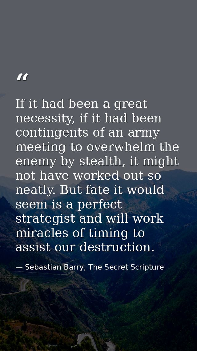 If it had been a great necessity, if it had been contingents of an army meeting to overwhelm the enemy by stealth, it mi — Sebastian Barry, The Secret Scripture