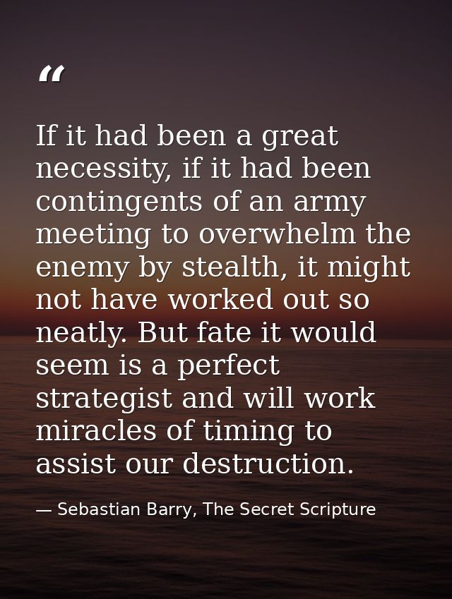 If it had been a great necessity, if it had been contingents of an army meeting to overwhelm the enemy by stealth, it mi — Sebastian Barry, The Secret Scripture