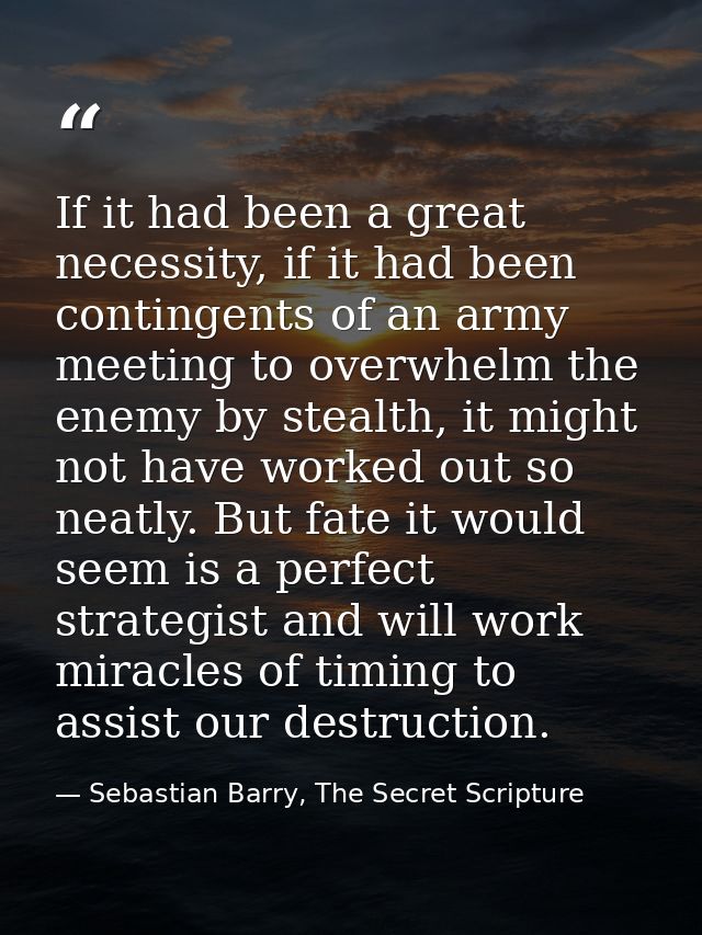 If it had been a great necessity, if it had been contingents of an army meeting to overwhelm the enemy by stealth, it mi — Sebastian Barry, The Secret Scripture