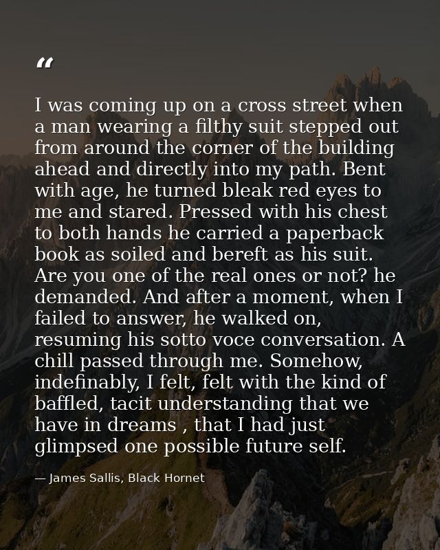I was coming up on a cross street when a man wearing a filthy suit stepped out from around the corner of the building ah — James Sallis, Black Hornet