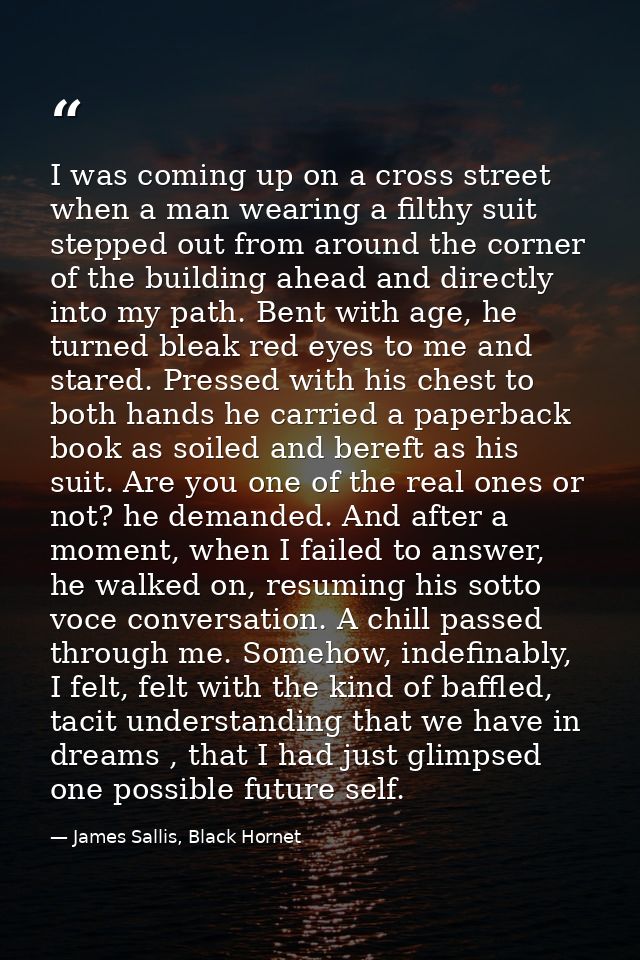 I was coming up on a cross street when a man wearing a filthy suit stepped out from around the corner of the building ah — James Sallis, Black Hornet