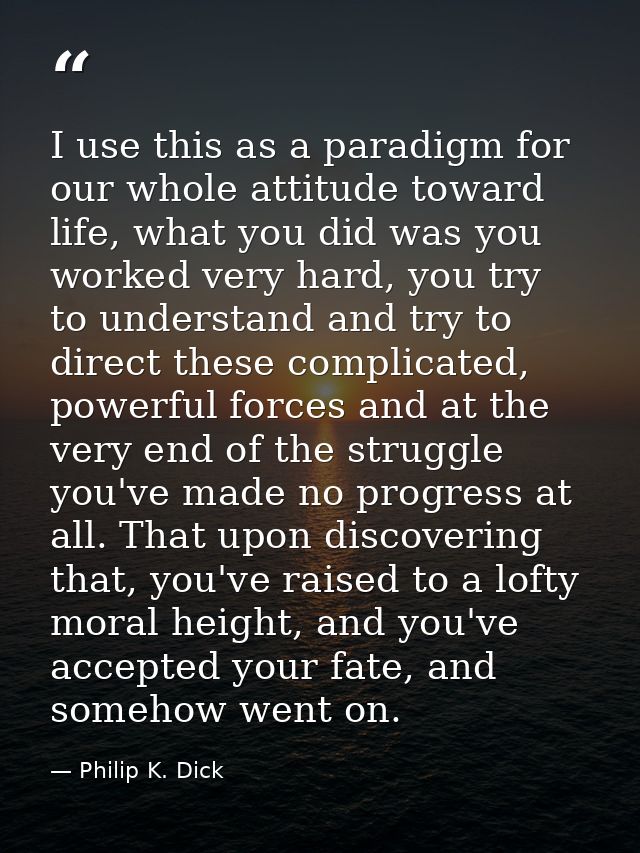 I use this as a paradigm for our whole attitude toward life, what you did was you worked very hard, you try to understan — Philip K. Dick