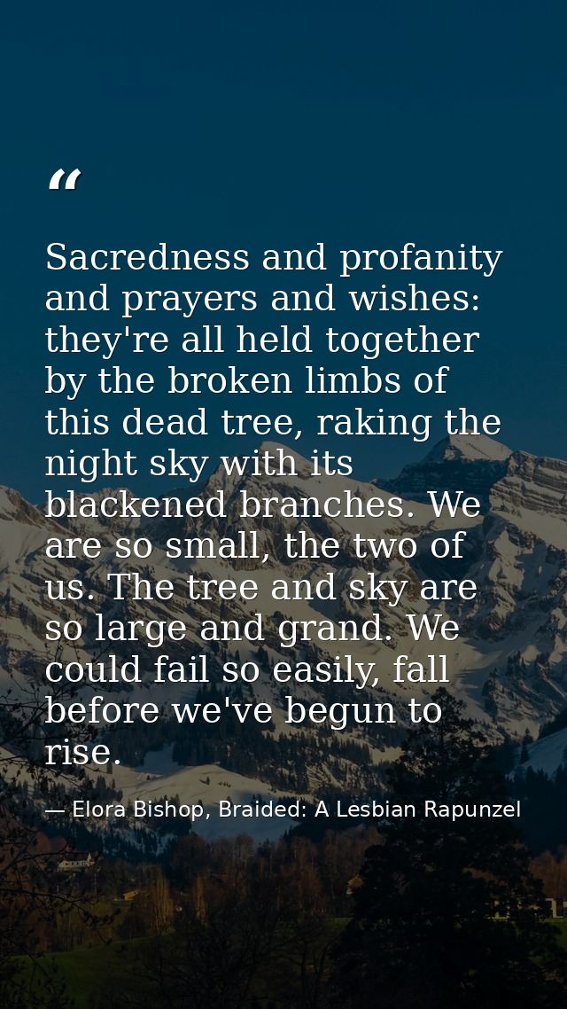 Sacredness and profanity and prayers and wishes: they're all held together by the broken limbs of this dead tree, raking — Elora Bishop, Braided: A Lesbian Rapunzel