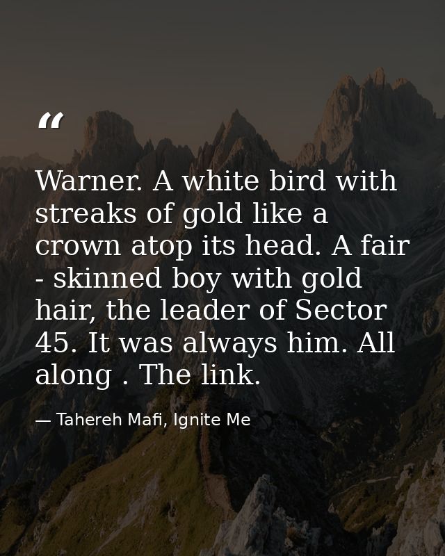 Warner. A white bird with streaks of gold like a crown atop its head. A fair - skinned boy with gold hair, the leader of — Tahereh Mafi, Ignite Me