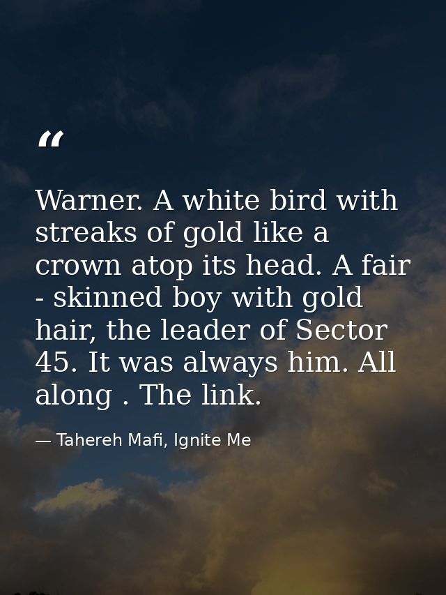 Warner. A white bird with streaks of gold like a crown atop its head. A fair - skinned boy with gold hair, the leader of — Tahereh Mafi, Ignite Me